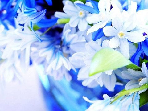 Annem ♥ Candan Erçetin & Ferayi A.Serim