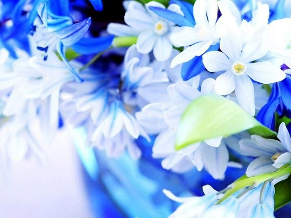 Annem ♥ Candan Erçetin & Ferayi A.Serim