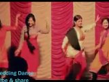 Dilhi Wali Girl Friend - Desi Local Girls Dance On Wedding -- HD  Video