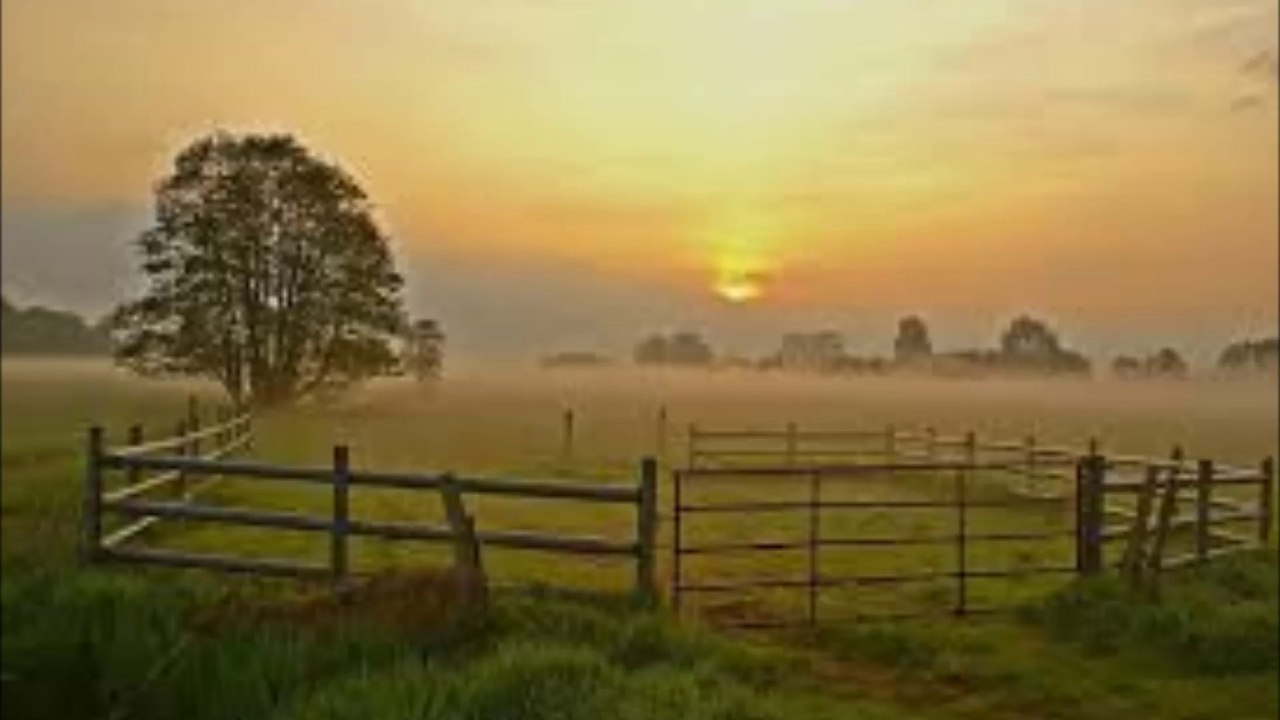 Seelenthron - Am Morgen