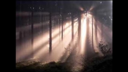 Seelenthron - Schatten Und Licht