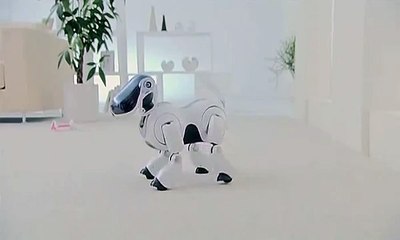 AIBO 3G