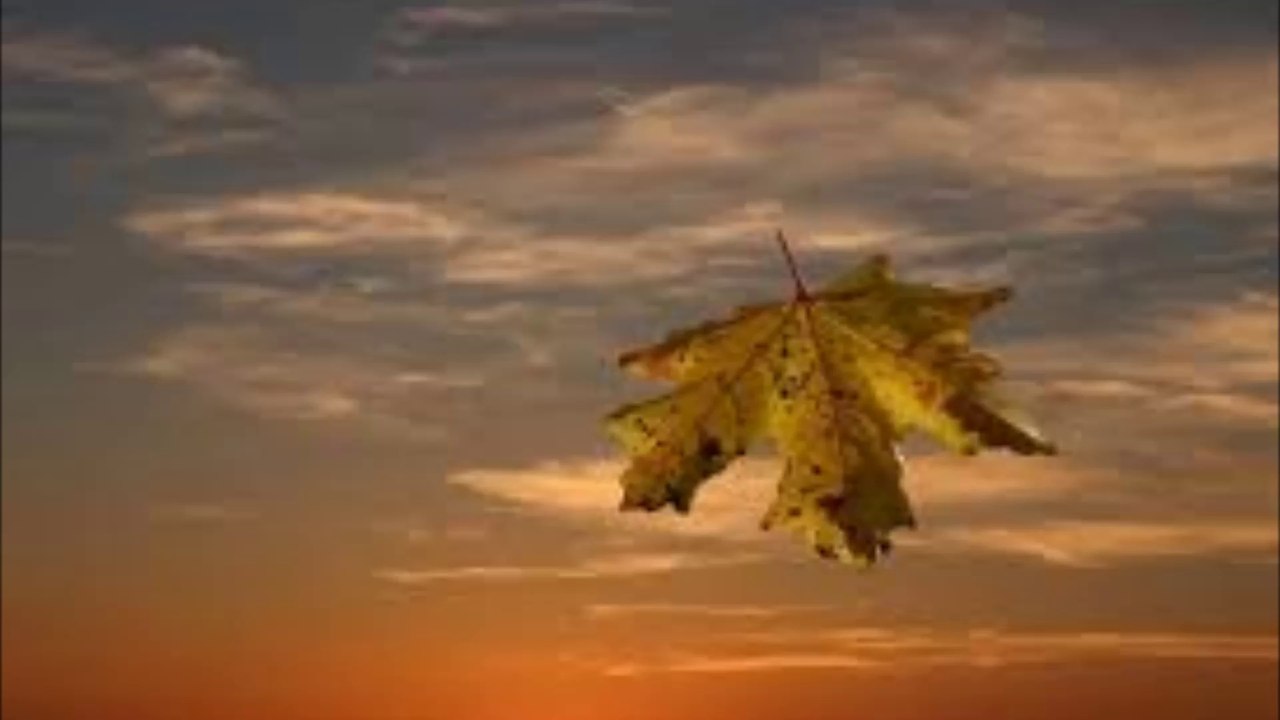 Seelenthron-Nordwind