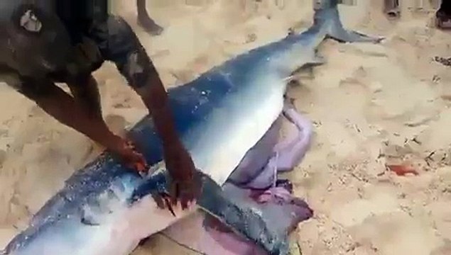 VID-20141121-WA0039.mp4