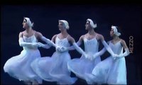 Swan Lake ballet parody - Les Ballets du Trockadero
