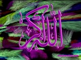 YUSUF ISLAM  IF YOU ASK ME Anasheed