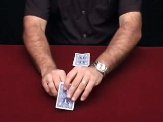 Tango Ultimate Coin - Performance