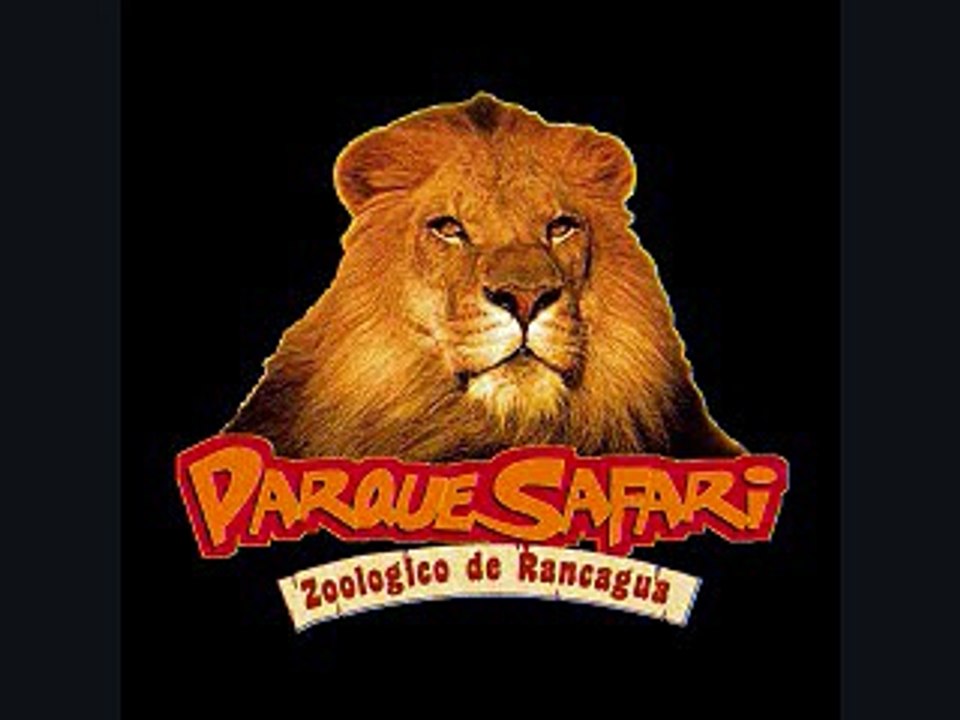 Nacimiento Leones en Parque Safari