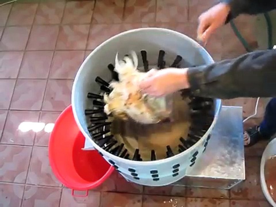 Tavuk Yolma Makinası