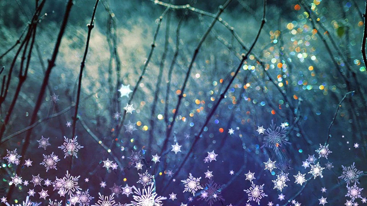 After Effects Project Files - Snowflakes Overlays and Backgrounds - VideoHive 9697427