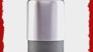 Silver Hiddenradio Portable Bluetooth Speaker and FM Radio