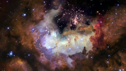 Flight through star cluster Westerlund 2