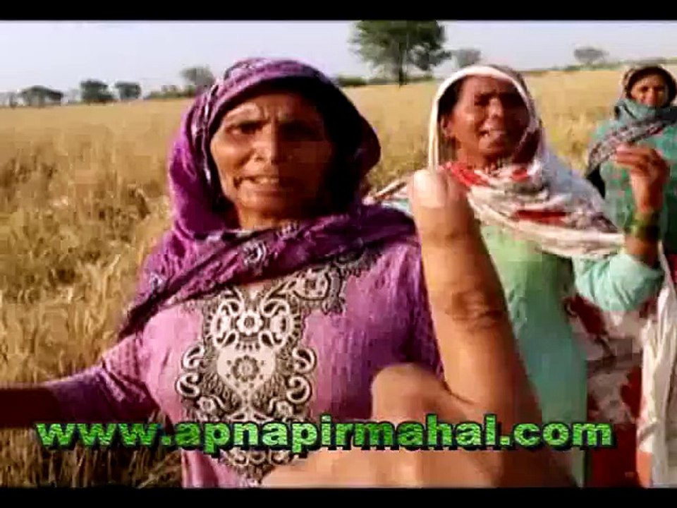 Pir Mahal 60 acres state land from land grabbers at Chak 321/GB