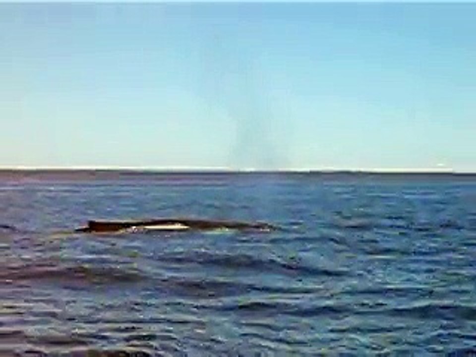 MVI_2362
