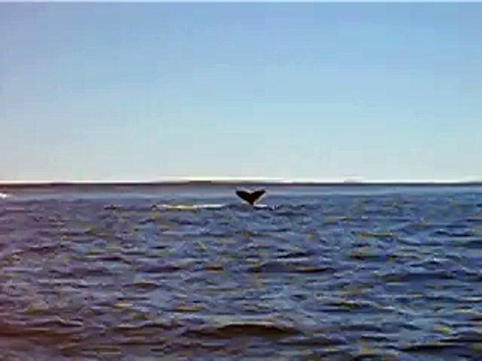 MVI_2372