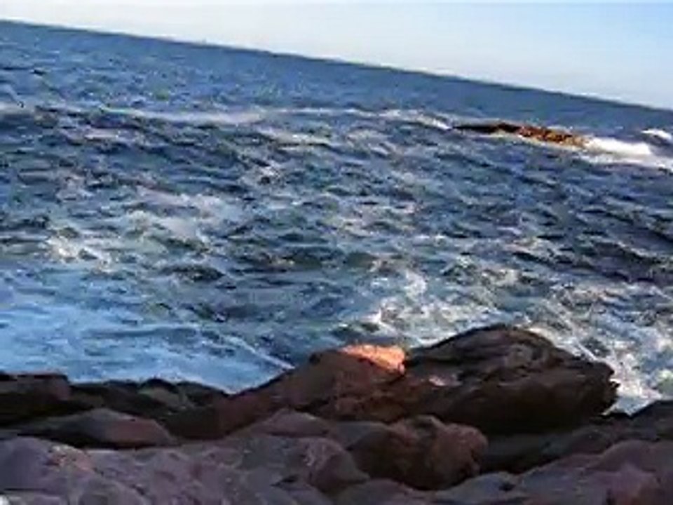 MVI_2737