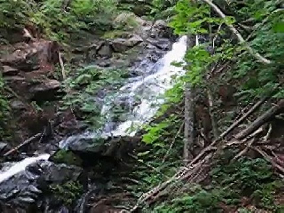 MVI_2858