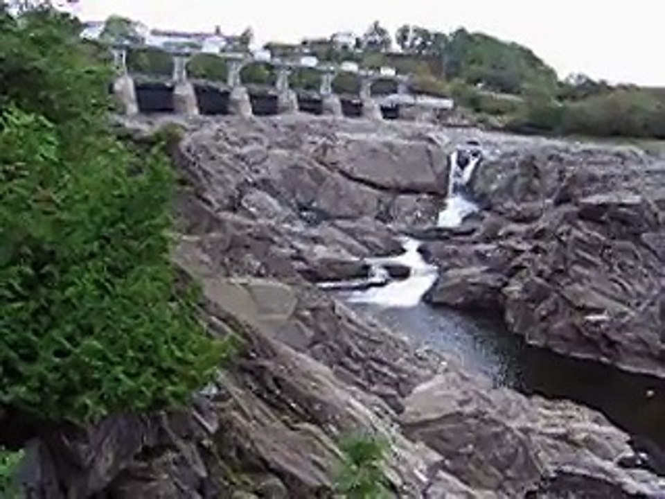 MVI_2958