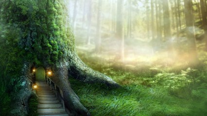 HYPNOSE - LES JARDINS DE GANDOR - CONNAISSANCE DE SOI