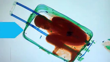 Boy Discovered Hiding in Suitcase