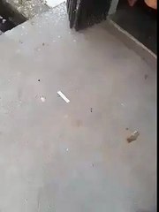 Little Child Open Chips Packat WITH shoes AMAZING Funny-VIDEO