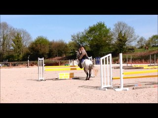 Ecuries Julie Le Guern: Moydow Fred a vendre