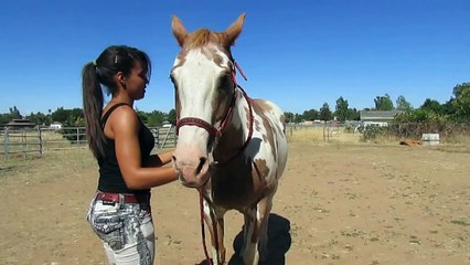 How to: Mount a Horse Bareback