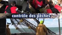Contrôle des pêches avec le Thémis