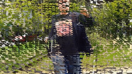 The Soundrops - The Morose Rose