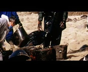 Carlo Lucarelli - Navi a Perdere