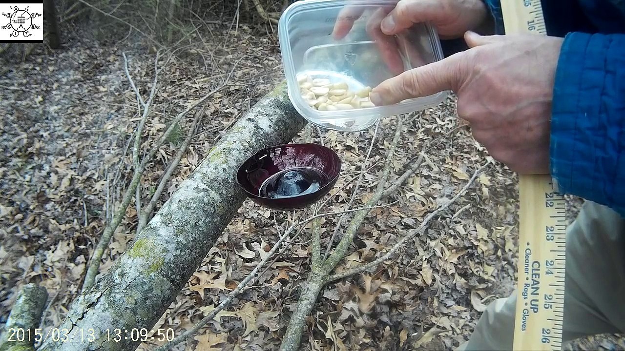 The Half Peanut Solution