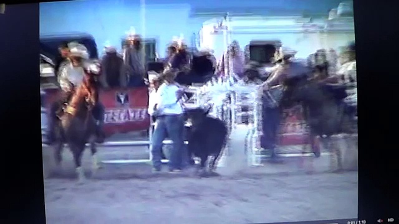 People Chasing Horses Trying To Help But Making It Worse -