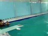 Swimming Pool Diving Fun