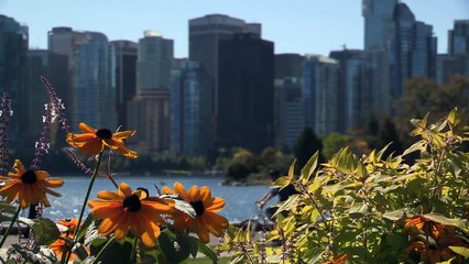 Vacation in Vancouver, BC