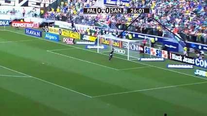 Epic Palmeiras vs Santos Clash | 2015 Highlights ⚽