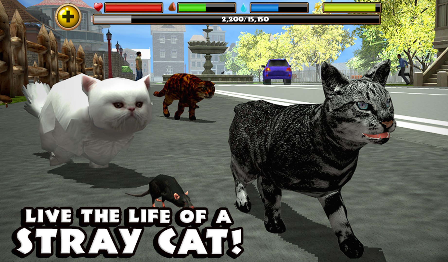 ⁣Stray Cat Simulator