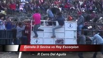 Muerte en el Jaripeo LA ÚLTIMA MONTA DEL ESTRELLA DE SEVINA (Trajedia en el Jaripeo ) 2015