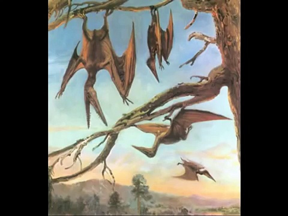 Los dinosaurios