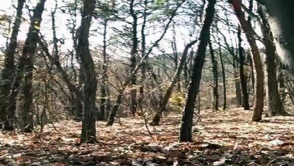 Best Vines | Unbelievable! Another Ghost Caught On Camera