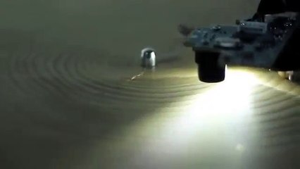 The Voice of the Trees by Bartholomaus Traubeck WWW.GOODNEWS.WS