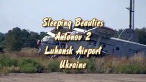 Antonov 2 Sleeping Beauties