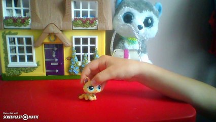 Introducing myself in my first video