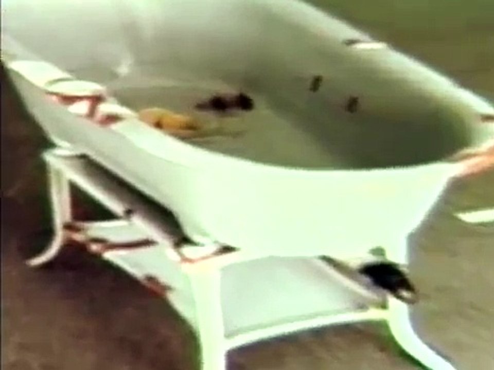 JOSEPH BEUYS/TRANSFORMER TRAILER