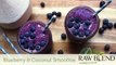 How to Make a Smoothie (Blueberry & Coconut Recipe) in a Vitamix 750 Blender by Raw Blend