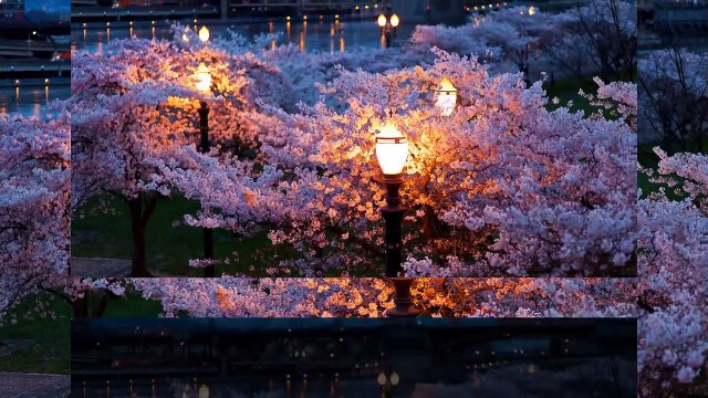 Добрый вечер!