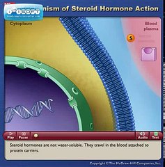 Chapter 47   Mechanism of Steroid Hormone Action 1