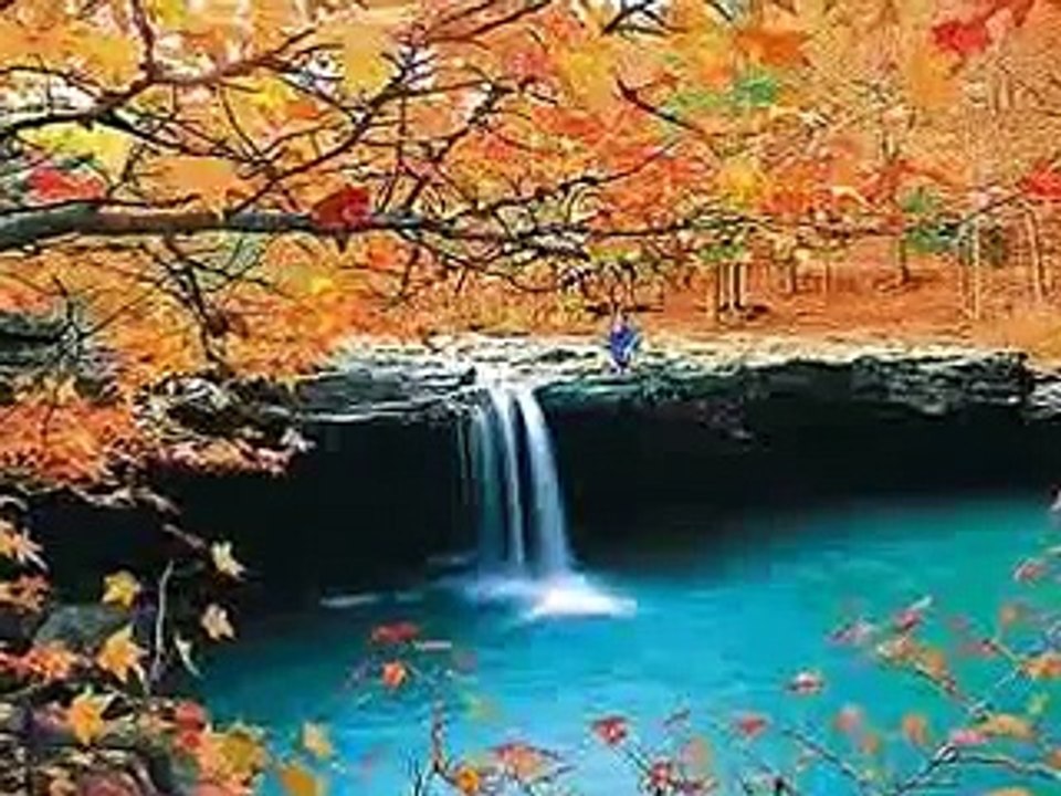 Where the Red Fern Grows