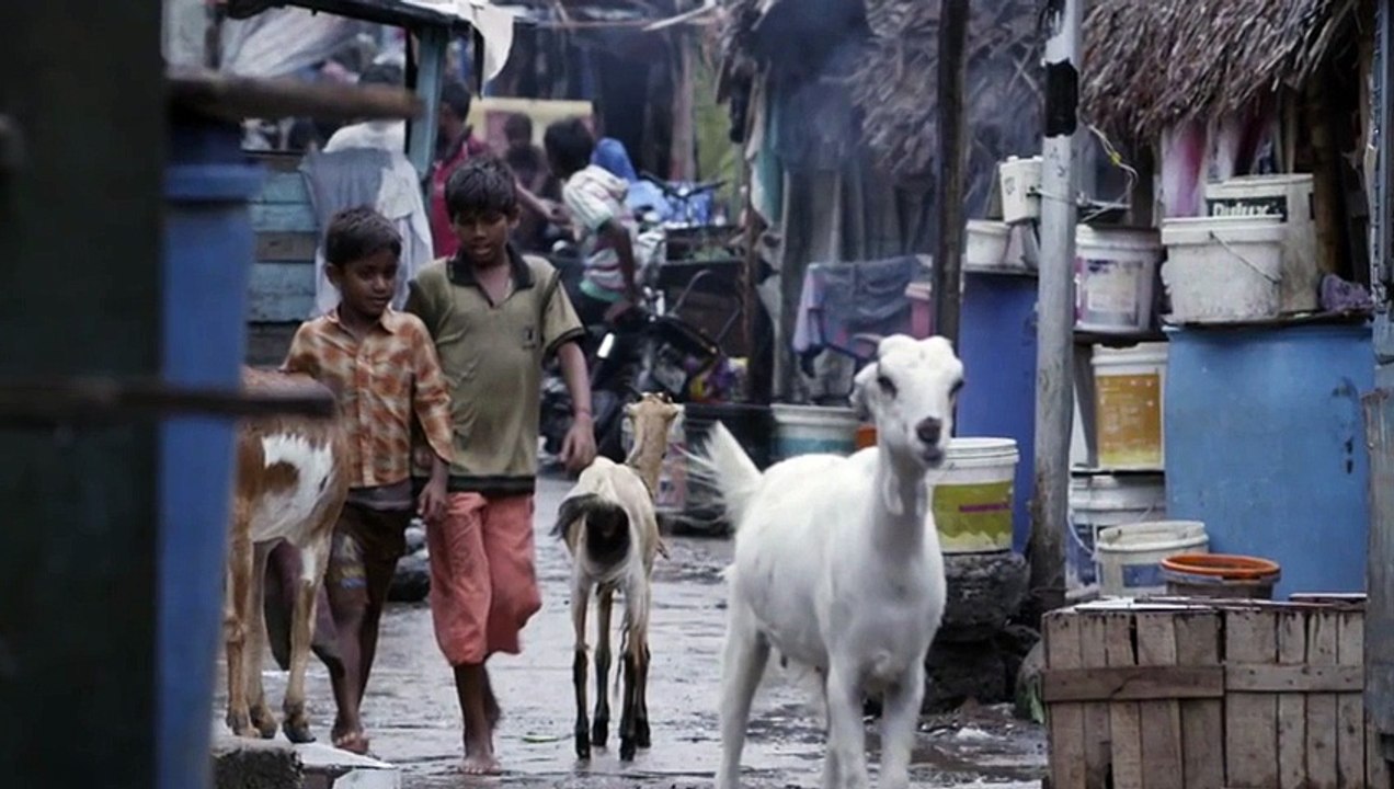 Maanjaave Kaanjaachu Kaakka Muttai Video Song with Lyrics | Kaakka Muttai | Dhanush | Vetri Maaran | G.V.Prakash Kumar