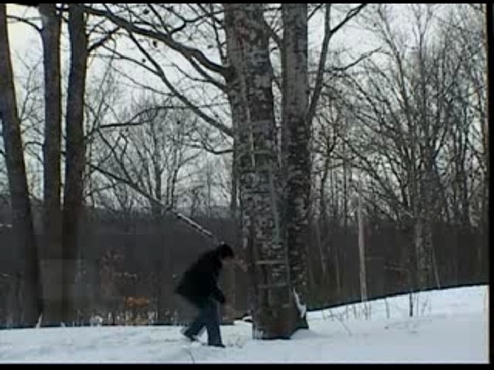 Diet Coke and Mentos Experiments