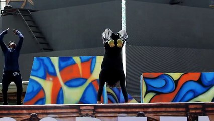 Tiger Shroff - Hey guys here's a look into our rehearsals... _ Facebook